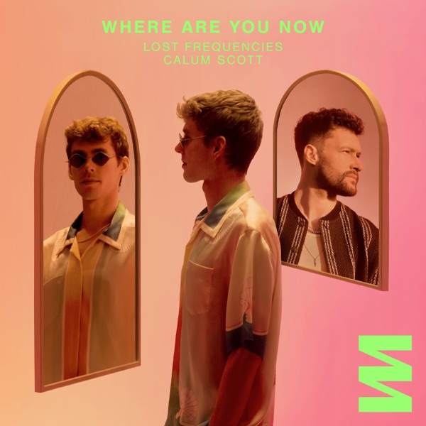 Lost Frequencies / Calum Scott - Where Are You Now