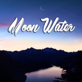 Moon Water artwork