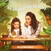 Hikayenin Peşini Bırakma artwork