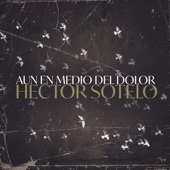 Aun en Medio del Dolor artwork