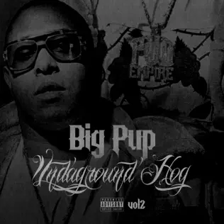 descargar álbum Big Pup - Undaground Hog Vol 2