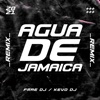 Agua De Jamaica (Remix) - Single