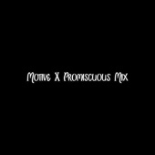 Motive X (Promiscuous Mix) artwork