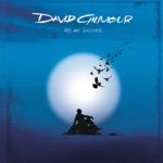 David Gilmour - The Blue
