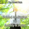Guided Meditation for Anxiety & Stress - EP album lyrics, reviews, download