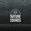 Nature Sounds - Sleep Aid Music - Single