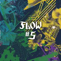 #5 - Flow