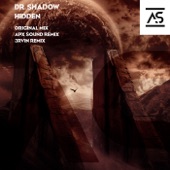 Dr. Shadow - Hidden (3RVIN Remix)