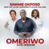Omeriwo (Live) [feat. Joy Uche-Ogbonna & Lilian Collins] - Single album lyrics, reviews, download
