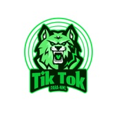 Tik Tok artwork