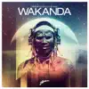 Wakanda (Original Mix) song lyrics