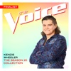 The Season 20 Collection (The Voice Performance) - EP