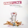 Fancy Like by Walker Hayes iTunes Track 3