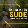 Iki Keklik (feat. Özkan Boz & Erkan Boz) - Single