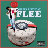 Happy Birthday Flee artwork