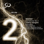 Symphony No. 2: I. Allegro maestoso artwork