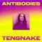 Antibodies (feat. Cara Melín) [Tensnake Disco Mix] artwork