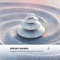 Mystical Wind Vibes of Magic Yin & Yang - Rajat Rama Yoga & Tommy Healing lyrics