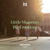 Little Moments, Big Emotions - Single