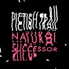 Natural Successor - Single