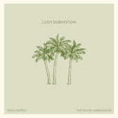 Lush Dubington (feat. Sean Haefeli) artwork