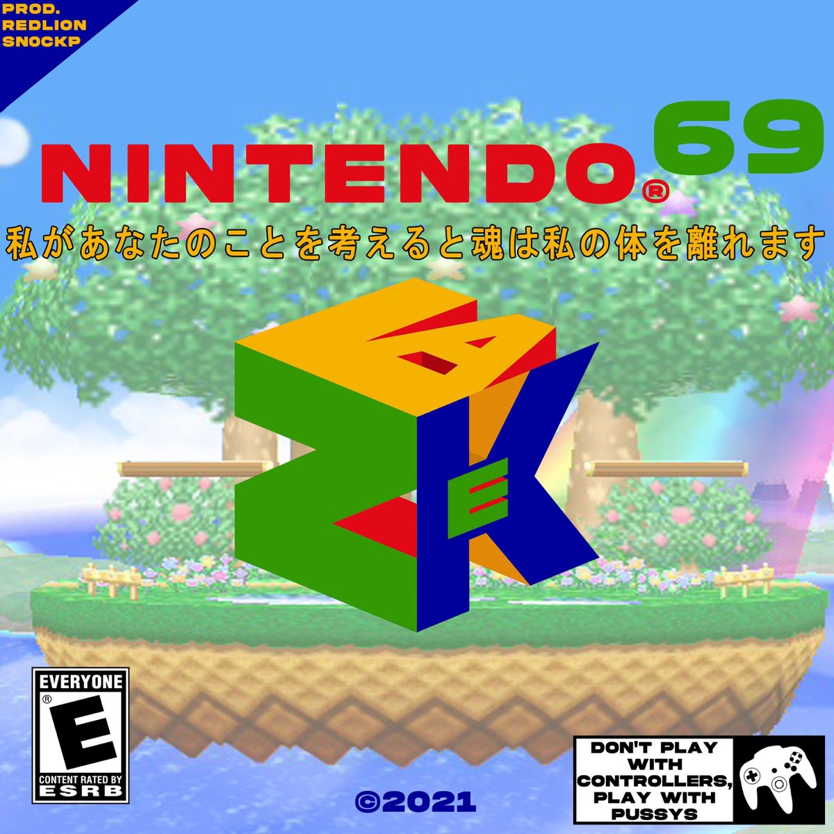 Nintendo 69