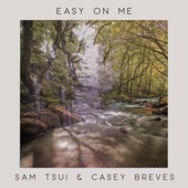 Sam Tsui, Casey Breves - Easy On Me - Piano Acoustic