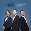 Time to Say Goodbye - Single