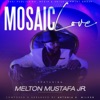 Mosaic Love - Single