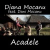 Acadele (feat. Dani Mocanu) - Single