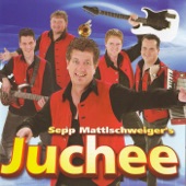 Juchee, auf der hohen Alm (Partymix) artwork