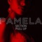 Pamela - Section Pull Up lyrics