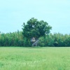 Novelbright - Life Squall