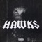 Hawks - Regime lyrics