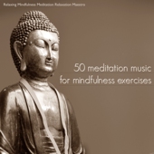 50 Meditation Music for Mindfulness Exercises - Meditation Songs & Relaxing Music for Yoga Meditation and Guided Imagery - Relaxing Mindfulness Meditation Relaxation Maestro
