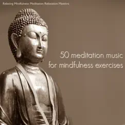 50 Meditation Music for Mindfulness Exercises - Meditation Songs & Relaxing Music for Yoga Meditation and Guided Imagery by Relaxing Mindfulness Meditation Relaxation Maestro album reviews, ratings, credits