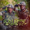 Salute (feat. Rudeboy) - Single