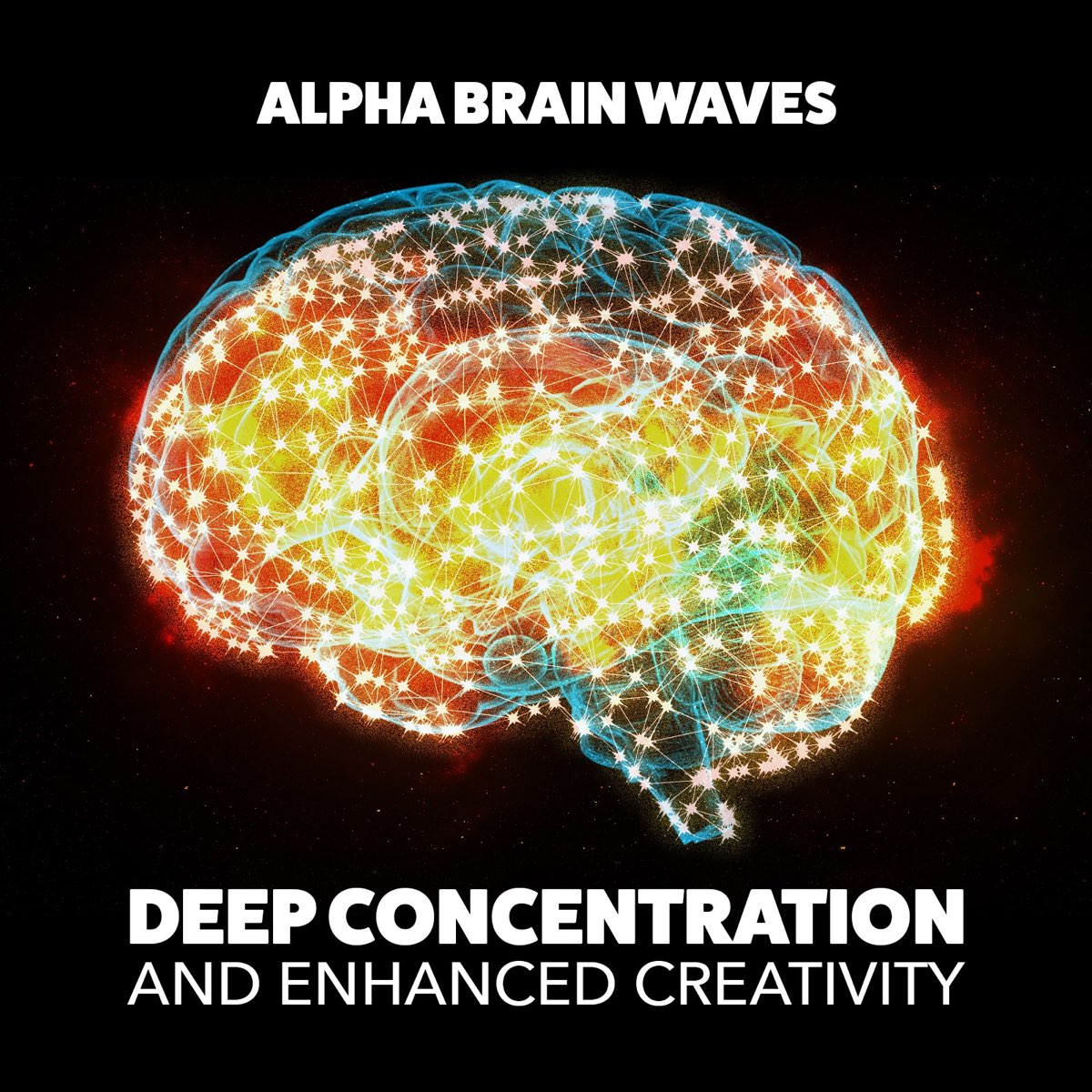 高評価なギフト DEEP CONCENTRATION