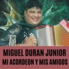 Mi Acordeon y Mis Amigos - Single