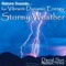 Stormy Weather - David Sun lyrics
