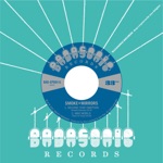 Smoke and Mirrors Soundsystem - Dub Divide (by Nico Leonard)