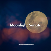 Moonlight Sonata - Brain Power Amadeus