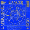 ☉cáncer ↑capricornio ☾virgo - Single