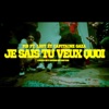 Je sais tu veux quoi (feat. Capitaine Gaza & Lost) - Single