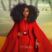 Africa Awake artwork