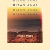 Bizar Jamz - Party at the Hills