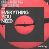 Stream & download Everything You Need - Single