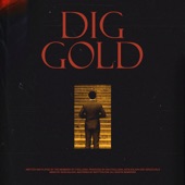 Dig Gold artwork