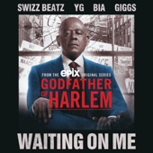 Waiting on Me (feat. Swizz Beatz, YG, BIA & Giggs) artwork