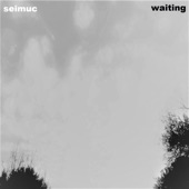 Seimuc - Repetition (2016)
